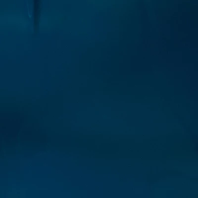 Ridgeland 2pk Outdoor Chairs - Navy - Crosley 4 Ridgeland 2pk Outdoor Chairs - Navy - Crosley - Image 4