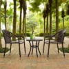 Palm Harbor 3pc Outdoor Wicker Seating Set - Brown - Crosley