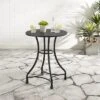 Astrid Round Indoor/Outdoor Metal Bistro Table - Matte Black - Crosley